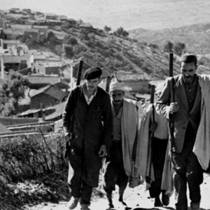 pierre-daum-algerie-harkis-dernier-tabou-photo-archive