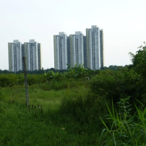 pierre-daum-monde-diplomatique-reportage-vietnam-3