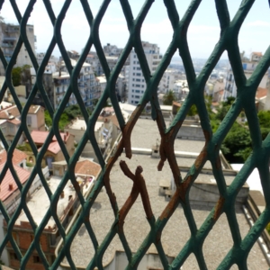 pierre-daum-monde-diplomatique-reportage-algerie-2