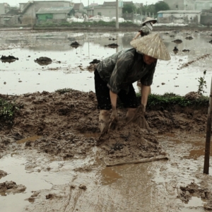 pierre-daum_cong-binh2 pierre-daum-travailleurs-indochinois-film-cong-binh-lam-le-3