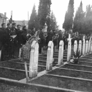 pierre daum bergerac indochinois